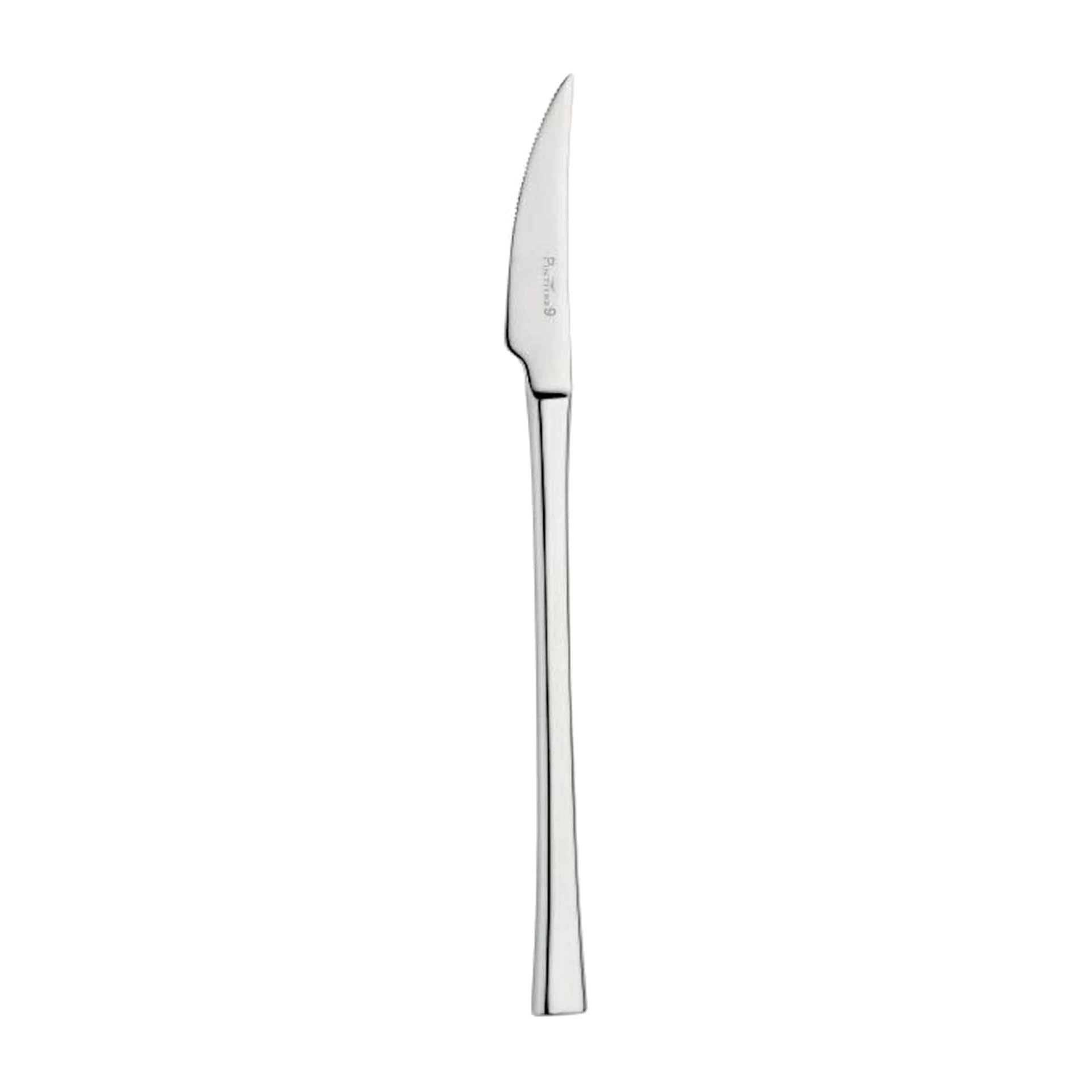 Tafelmesser, Pintinox, Concept - 24,5 cm