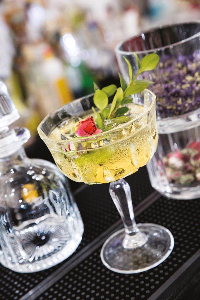 Coupette Glas / Cocktailschale, RCR, Opera - 220 ml