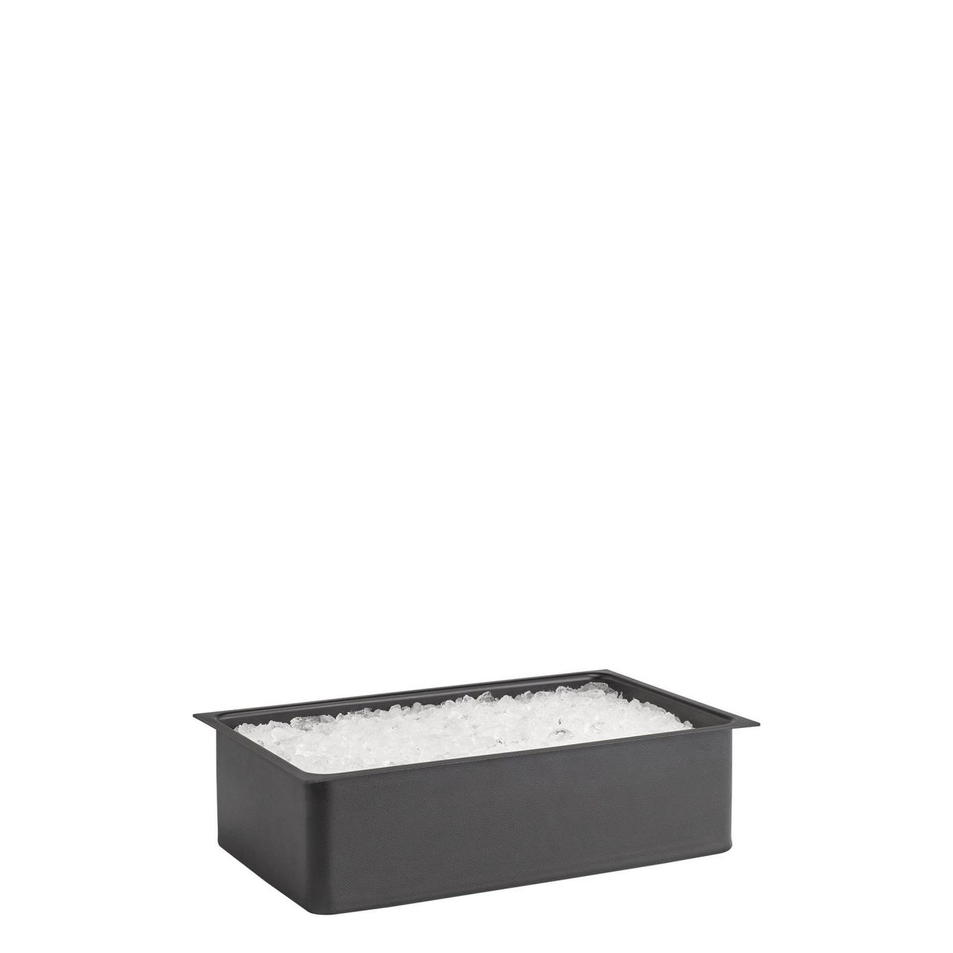 Einsatz für Holzbox, APS, VALO, Polystrol, GN 1/1 - 51,5 x 31 cm