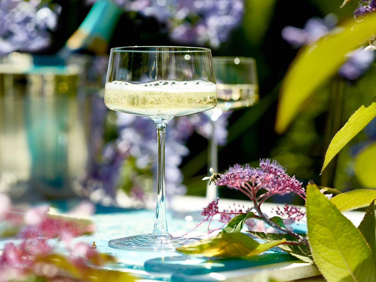 Champagnerschale / Coupette Glas, Stölzle, Power - 275 ml