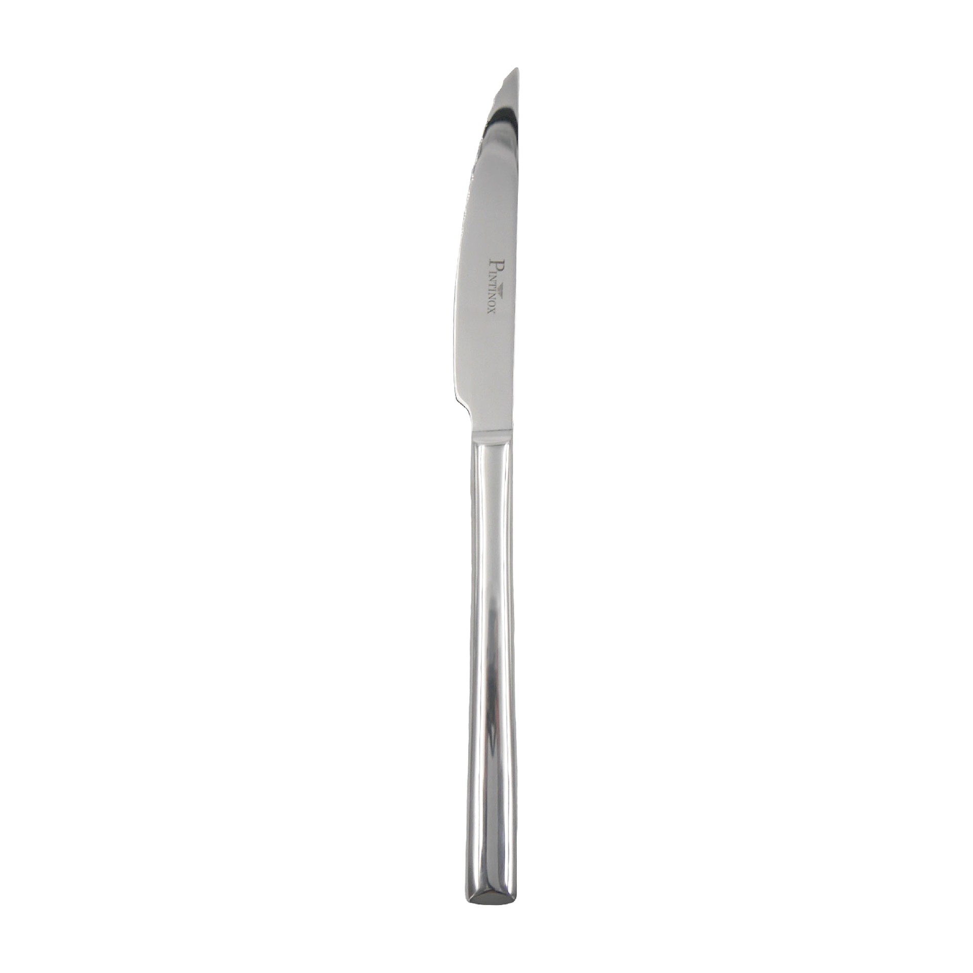 Steakmesser, Pintinox, Synthesis - 22,5 cm
